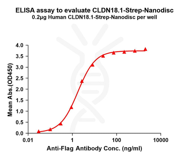 Human CLDN18.1-Strep full length protein-synthetic nanodisc – Figure 1 of 1