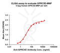 Human GPRC5D full length protein-MNP – Figure 1 of 1