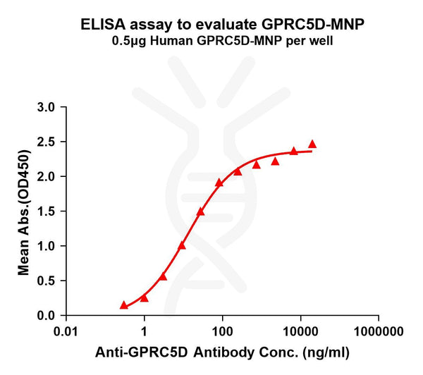 Human GPRC5D full length protein-MNP – Figure 1 of 1