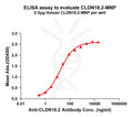 Human CLDN18.2 full length protein-MNP – Figure 1 of 1