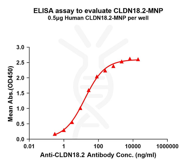 Human CLDN18.2 full length protein-MNP – Figure 1 of 1
