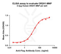 Human OR2H1 full length protein-MNP – Figure 1 of 1