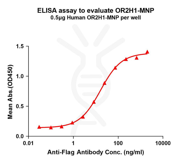 Human OR2H1 full length protein-MNP – Figure 1 of 1