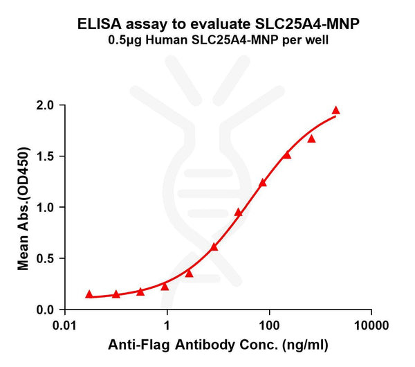 Human SLC25A4 full length protein-MNP – Figure 1 of 1