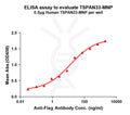 Human TSPAN33 full length protein-MNP – Figure 1 of 1