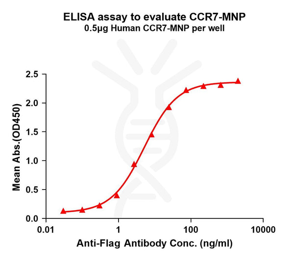 Human CCR7 full length protein-MNP – Figure 1 of 1