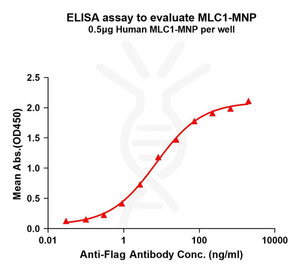 Human MLC1 full length protein-MNP – Figure 1 of 1
