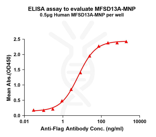 Human MFSD13A full length protein-MNP – Figure 1 of 1
