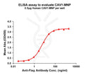 Human CAV1 full length protein-MNP – Figure 1 of 1