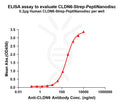 Human CLDN6-Strep full length protein-PeptiNanodisc – Figure 1 of 1