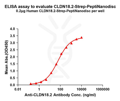 Human CLDN18.2-Strep full length protein-PeptiNanodisc – Figure 1 of 1