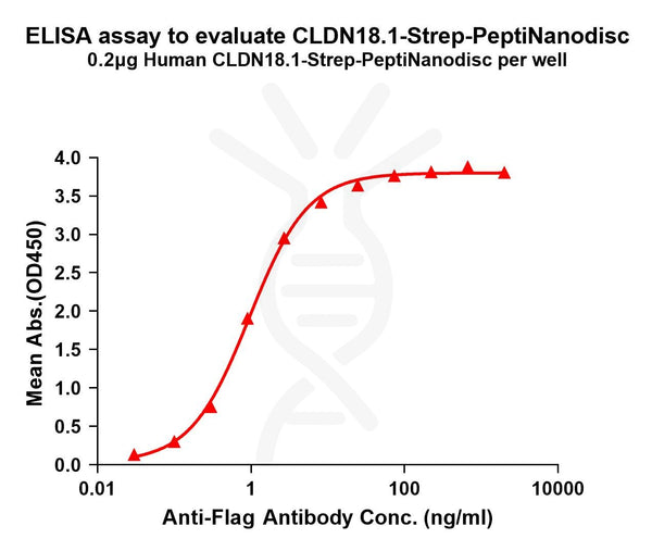 Human CLDN18.1-Strep full length protein-PeptiNanodisc – Figure 1 of 1