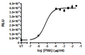 Foxp3 Luciferase Reporter Jurkat Cell Line – Figure 1 of 5