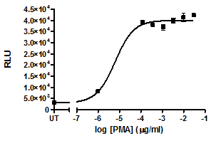 Foxp3 Luciferase Reporter Jurkat Cell Line – Figure 1 of 5