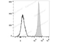PE Anti-Rat CD45 Antibody[OX-1] – Figure 1 of 2