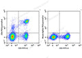 PE/Cyanine5 Anti-Rat CD4(domain 1) Antibody[OX-38] – Figure 1 of 2
