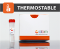 OneScript® Hot cDNA Synthesis Kit