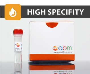 BlasTaq™ HotStart DNA Polymerase