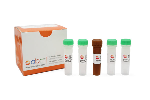 BlasTaq™ 2X qPCR MasterMix