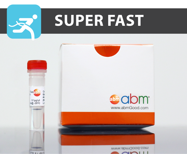 BlasTaq™ 2X PCR MasterMix