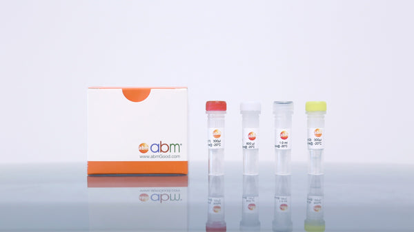MegaFi™ Pro One-Step RT-PCR