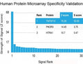 Analysis of HuProt(TM) microarray containing more than 19,000 full-length human proteins using BRCA-1 antibody (clone BRCA1/2973). These results demonstrate the foremost specificity of the BRCA1/2973 mAb. Z- and S- Score: The Z-score represents the strength of a signal that a monoclonal antibody (clone MAb) (in combination with a fluorescently-tagged anti-IgG secondary antibody) produces when binding to a particular protein on the HuProt(TM) array.