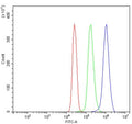 Flow cytometry testing of human U937 cells with TNFRSF1A antibody at 1ug/million cells (blocked with goat sera); Red=cells alone, Green=isotype control, Blue= TNFRSF1A antibody.