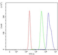 Flow cytometry testing of human HepG2 cells with CENPF antibody at 1ug/million cells (blocked with goat sera); Red=cells alone, Green=isotype control, Blue= CENPF antibody.