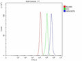 Flow Cytometry analysis of PC-3 cells using anti-ARHGEF6 antibody. Overlay histogram showing PC-3 cells stained with (Blue line). The cells were fixed with 4% paraformaldehyde and blocked with 10% normal goat serum. And then incubated with rabbit anti-ARHGEF6 antibody (1 ug/million cells) for 30 min at 20oC. DyLight 488 conjugated goat anti-rabbit IgG (5-10 ug/million cells) was used as secondary antibody for 30 min at 20oC.