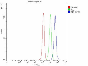 Flow Cytometry analysis of PC-3 cells using anti-ARHGEF6 antibody. Overlay histogram showing PC-3 cells stained with (Blue line). The cells were fixed with 4% paraformaldehyde and blocked with 10% normal goat serum. And then incubated with rabbit anti-ARHGEF6 antibody (1 ug/million cells) for 30 min at 20oC. DyLight 488 conjugated goat anti-rabbit IgG (5-10 ug/million cells) was used as secondary antibody for 30 min at 20oC.