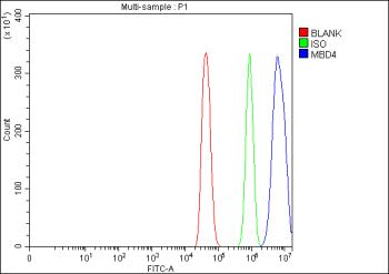 Flow Cytometry analysis of C2C12 cells using anti-Mbd4 antibody. Overlay histogram showing C2C12 cells stained with (Blue line). To facilitate intracellular staining, cells were fixed with 4% paraformaldehyde and permeabilized with permeabilization buffer. The cells were blocked with 10% normal goat serum. And then incubated with rabbit anti-Mbd4 antibody (1 ug/million cells) for 30 min at 20oC.
