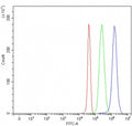 Flow cytometry testing of fixed and permeabilized human JK cells with 3BP2 antibody at 1ug/million cells (blocked with goat sera); Red=cells alone, Green=isotype control, Blue= 3BP2 antibody.
