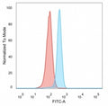 FACS staining of PFA-fixed human HeLa cells with RXRG antibody (blue, clone PCRP-RXRG-5G6) and isotype control (red).