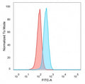 Flow cytometry testing of PFA-fixed human HeLa cells with Y-box-binding protein 3 antibody (clone PCRP-YBX3-2D12) followed by goat anti-mouse IgG-CF488 (blue); Red = unstained cells.