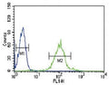 IRF8 antibody flow cytometric analysis of HL-60 cells (green) compared to a negative control (blue). FITC-conjugated goat-anti-rabbit secondary Ab was used for the analysis.