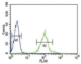 IRF8 antibody flow cytometric analysis of HL-60 cells (green) compared to a negative control (blue). FITC-conjugated goat-anti-rabbit secondary Ab was used for the analysis.