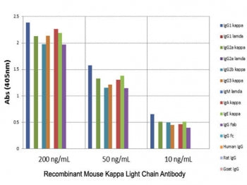 ELISA of mouse immunoglobulins shows the recombinant Mouse Kappa Light Chain antibody reacts to the kappa light chain of mouse immunoglobulins. No cross reactivity with the lamda light chain, human IgG (Îº+Î»), rat IgG (Îº+Î»), or goat IgG (Îº+Î»).
