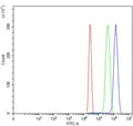 Flow cytometry testing of human HL60 cells with MPO antibody at 1ug/million cells (blocked with goat sera); Red=cells alone, Green=isotype control, Blue= MPO antibody.