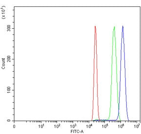 Flow cytometry testing of human HL60 cells with MPO antibody at 1ug/million cells (blocked with goat sera); Red=cells alone, Green=isotype control, Blue= MPO antibody.