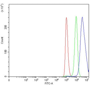 Flow cytometry testing of human A549 cells with Embryonic ectoderm development protein antibody at 1ug/million cells (blocked with goat sera); Red=cells alone, Green=isotype control, Blue= Embryonic ectoderm development protein antibody.