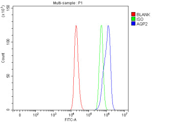 Flow Cytometry analysis of mouse RAW264.7 cells using anti-Oas2 antibody. Overlay histogram showing RAW264.7 cells stained with (Blue line). The cells were fixed with 4% paraformaldehyde and blocked with 10% normal goat serum. And then incubated with rabbit anti-OAS2 antibody (1 ug/million cells) for 30 min at 20oC. DyLight 488 conjugated goat anti-rabbit IgG (5-10 ug/million cells) was used as secondary antibody for 30 min at 20oC.