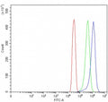 Flow cytometry testing of human SiHa cells with TMEM132A antibody at 1ug/million cells (blocked with goat sera); Red=cells alone, Green=isotype control, Blue= TMEM132A antibody.
