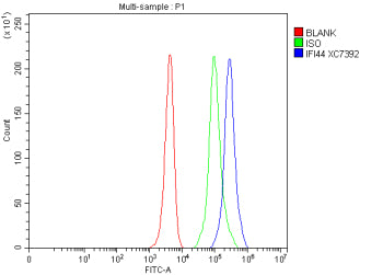 Flow Cytometry analysis of mouse Hepa1-6 cells using anti-IFI44 antibody. Overlay histogram showing Hepa1-6 cells stained with (Blue line). To facilitate intracellular staining, cells were fixed with 4% paraformaldehyde and permeabilized with permeabilization buffer. The cells were blocked with 10% normal goat serum. And then incubated with rabbit anti-IFI44 antibody (1 ug/million cells) for 30 min at 20oC.
