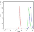 Flow cytometry testing of human A431 cells with Argonaute 1 antibody at 1ug/million cells (blocked with goat sera); Red=cells alone, Green=isotype control, Blue= Argonaute 1 antibody.
