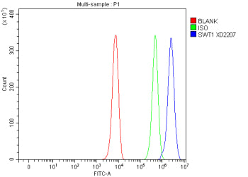 Flow Cytometry analysis of K562 cells using anti-SWT1 antibody. Overlay histogram showing K562 cells stained with (Blue line). To facilitate intracellular staining, cells were fixed with 4% paraformaldehyde and permeabilized with permeabilization buffer. The cells were blocked with 10% normal goat serum. And then incubated with rabbit anti-SWT1 antibody (1 ug/million cells) for 30 min at 20oC.