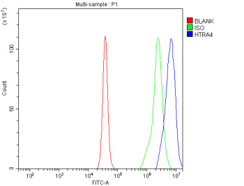 Flow Cytometry analysis of Daudi cells using anti-HTRA4 antibody. Overlay histogram showing Daudi cells stained with (Blue line). The cells were fixed with 4% paraformaldehyde and blocked with 10% normal goat serum. And then incubated with rabbit anti-HTRA4 antibody (1 ug/million cells) for 30 min at 20oC. DyLight 488 conjugated goat anti-rabbit IgG (5-10 ug/million cells) was used as secondary antibody for 30 min at 20oC.