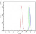 Flow cytometry testing of human HEL cells with SERPINA10 antibody at 1ug/million cells (blocked with goat sera); Red=cells alone, Green=isotype control, Blue= SERPINA10 antibody.