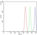 Flow cytometry testing of human 293T cells with DHX29 antibody at 1ug/million cells (blocked with goat sera); Red=cells alone, Green=isotype control, Blue= DHX29 antibody.