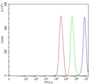 Flow cytometry testing of human 293T cells with DHX29 antibody at 1ug/million cells (blocked with goat sera); Red=cells alone, Green=isotype control, Blue= DHX29 antibody.
