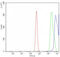 Flow cytometry testing of human A431 cells with MAFG antibody at 1ug/million cells (blocked with goat sera); Red=cells alone, Green=isotype control, Blue= MAFG antibody.